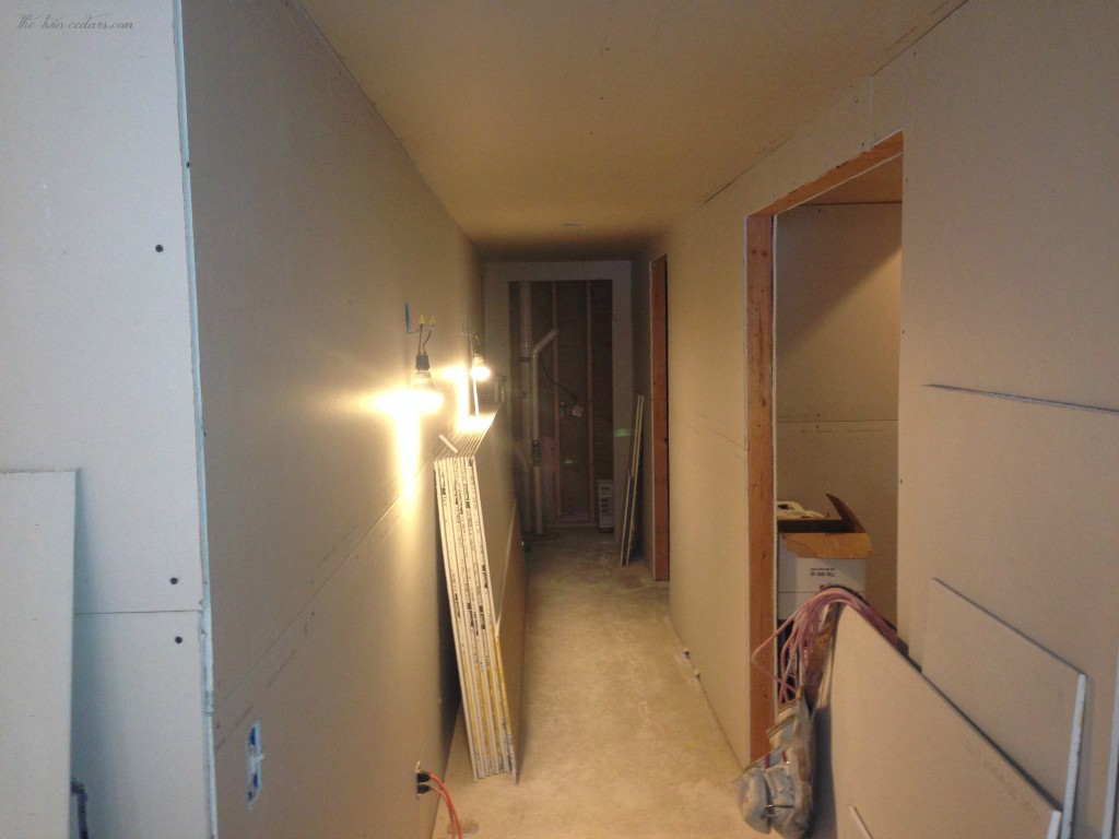 bigbasementproject (7)