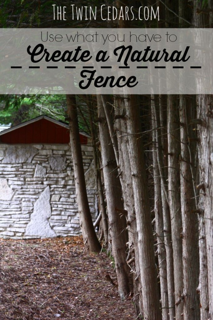 Create a Natural Fence