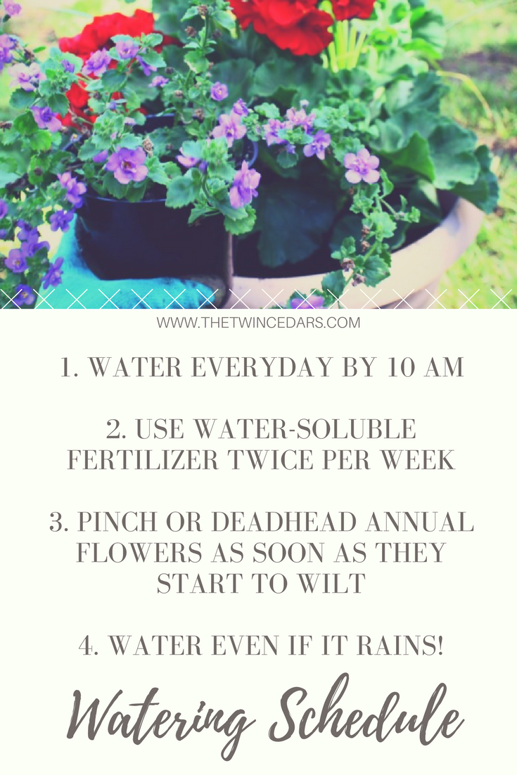 Easy Garden Ideas & watering schedule. Perfect potted plant combinations and the best way to care for your plants so they last all season. #TheTwinCedars #outdoorplanters #containergardening #gardening #flowers