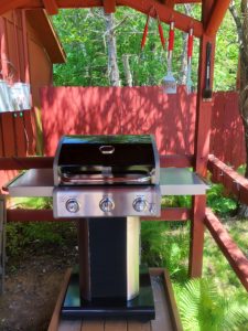 BBQ Grill on all patios at Twin Cedars Resort