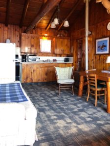 Twin Cedars Cabin 1 bathroom