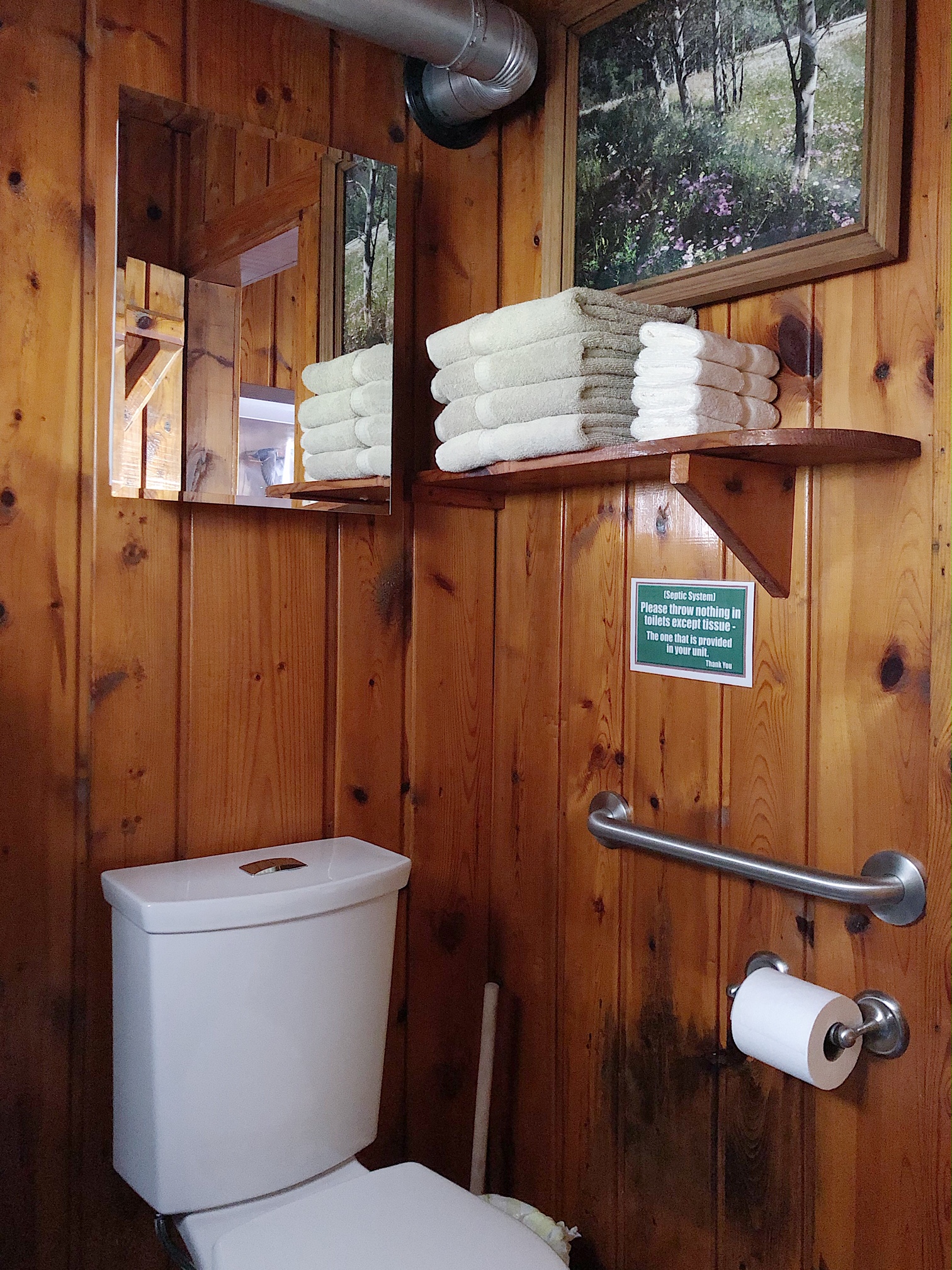 Twin Cedars Resort cabin 4 bathroom pics