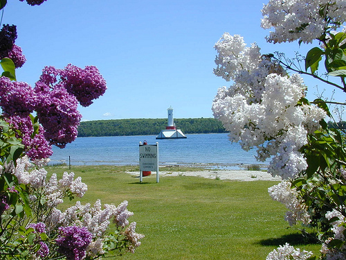 photo cred: MackinacBlog.com. 7 Rules to Live by when Visiting Mackinac Island. Many people think that being a fudgie is a bad thing, suppose it depends on how you look at it. Either way, if you follow these tips you'll be just fine, haha! #TheTwinCedars #MackinacIsland #Michigan #travel #tourism 