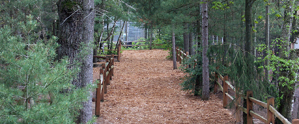 nature path via Garlyn Zoo