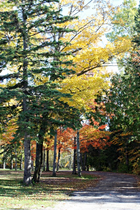 fall-colors-2016
