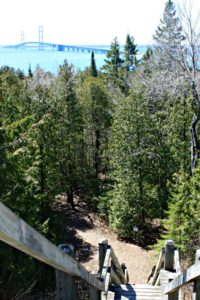 Mackinac Bridge from Straits State Park hiking trails