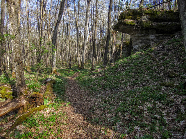 Niagara Escarpment Hike via Eric's Hikes on Blogspot