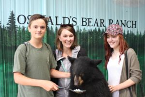 Oswald's bear ranch -2