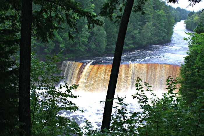 Upper Falls Tahquamenon Falls state park. Tahquamenon Falls in the Upper Peninsula of Michigan is quite the site to see. Amazing and powerful! #TheTwinCedars #waterfalls #Michigan #travel #explore