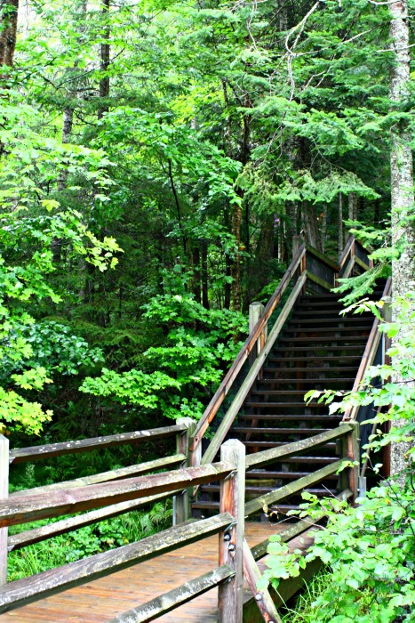 stairs at Tahquamenon Falls. Tahquamenon Falls in the Upper Peninsula of Michigan is quite the site to see. Amazing and powerful! #TheTwinCedars #waterfalls #Michigan #travel #explore