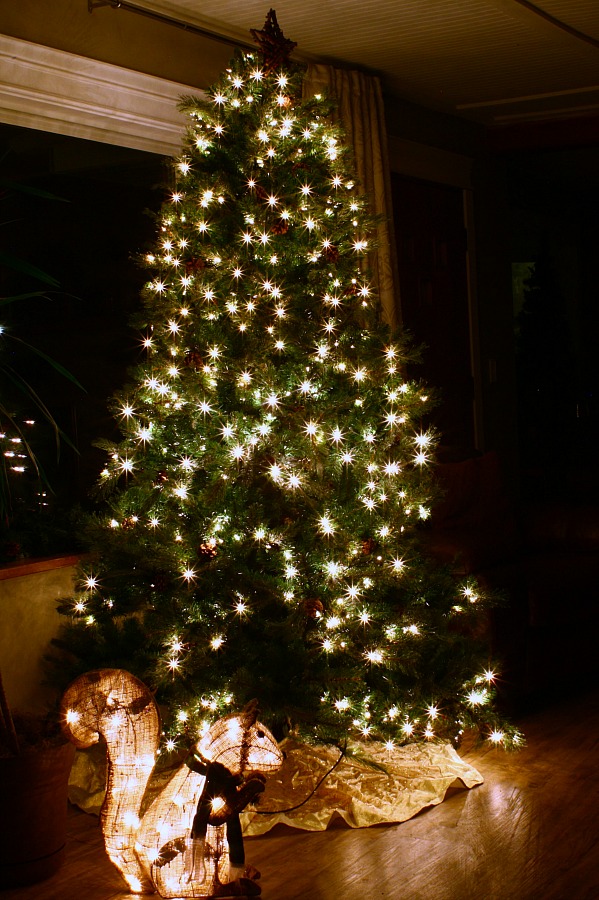 a christmas tree