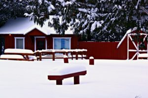 10 wacky ways to know you're stuck in a Northern Michigan Winter
