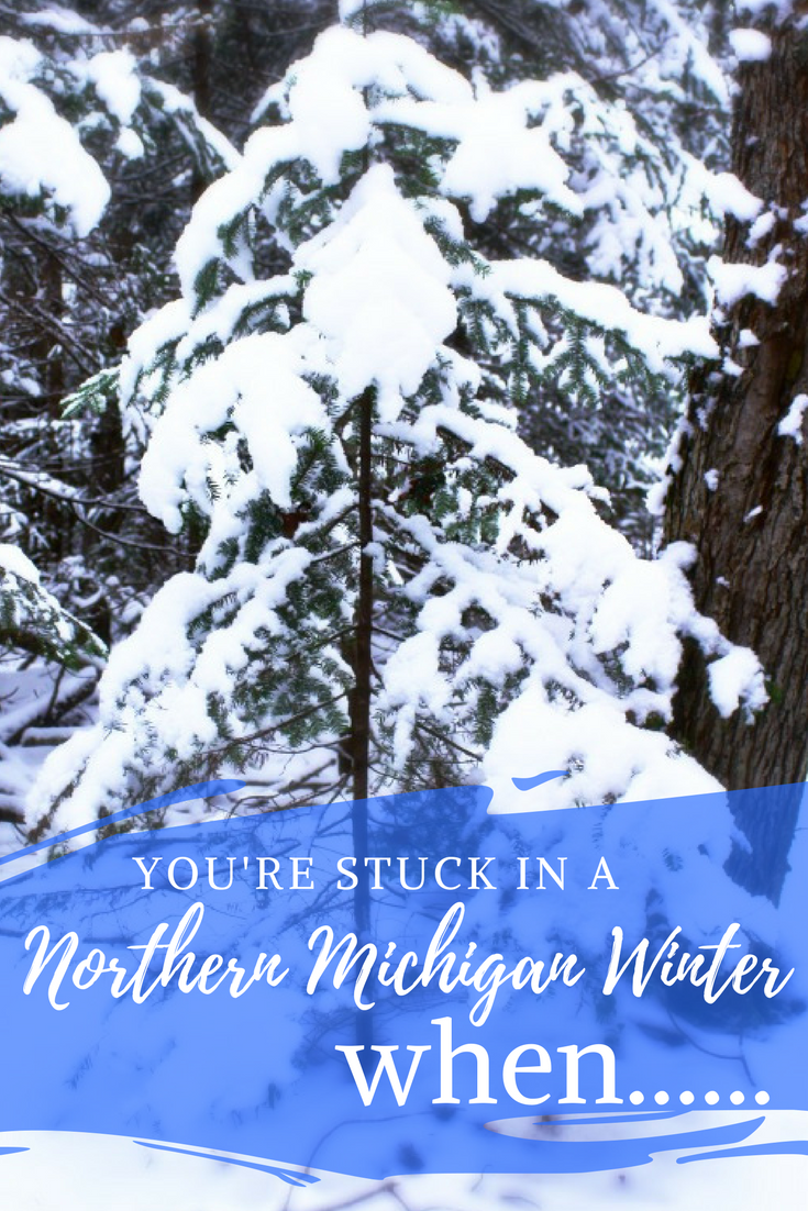 10 wacky ways to know you’re stuck in a Northern Michigan Winter. If you're from Michigan, you'll totally get it. If not, you might be surprised. LOL! #TheTwinCedars #Michigan #UpperPeninsula #Winter #Snow