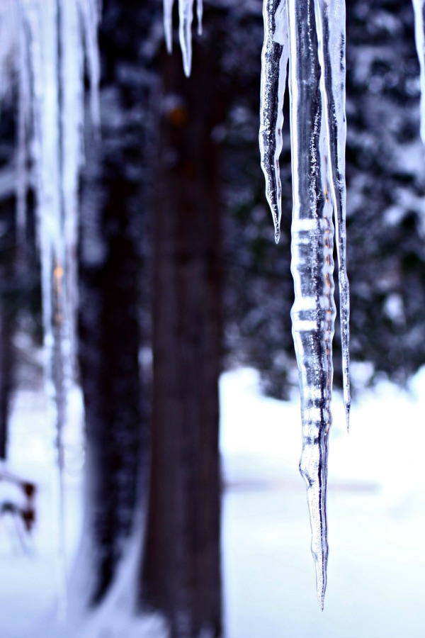 freezing in a Northern Michigan Winter