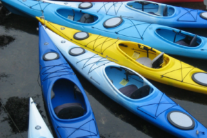 7 essential items when kayaking in Michigan