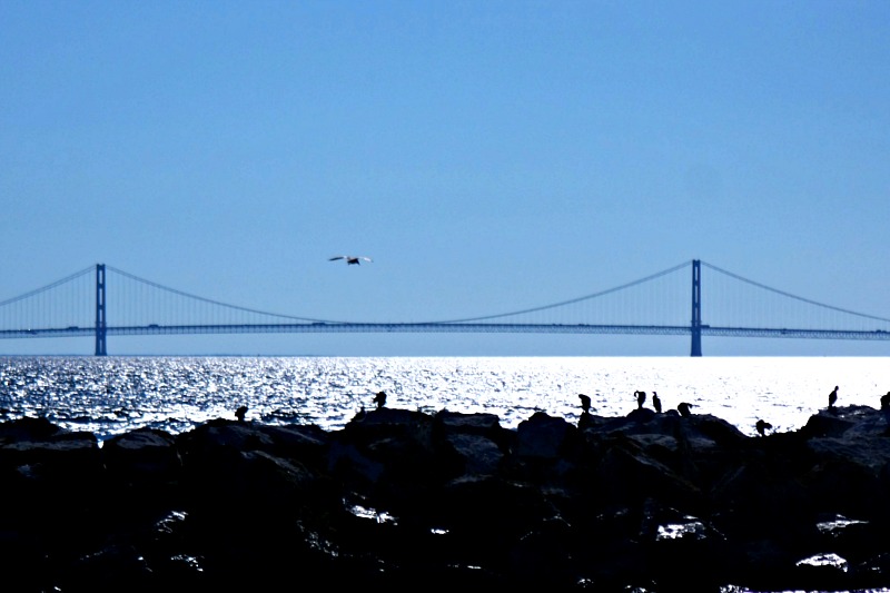 How to get to Mackinac Island with a bridge view