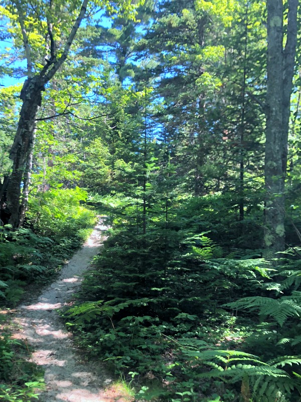 Pictured Rocks Kayaking North Country Trail