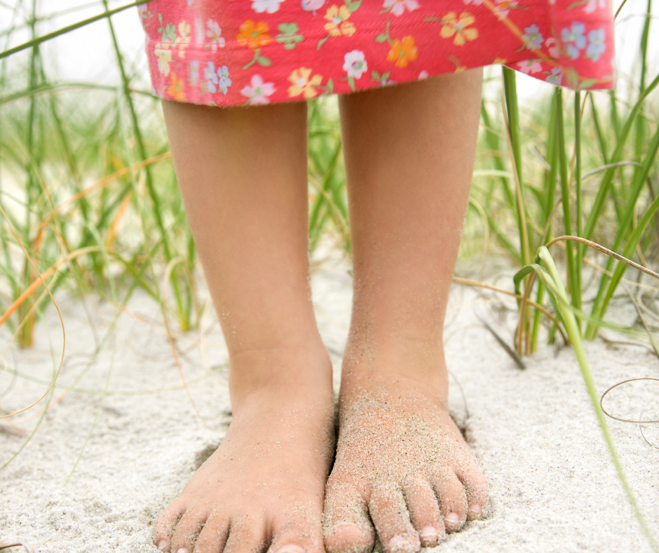 lake michigan beaches feature image