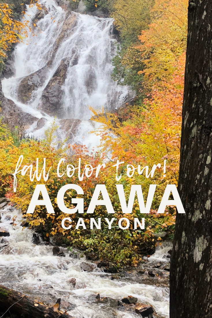 Agawa Canyon Color Tour Ontario Canada