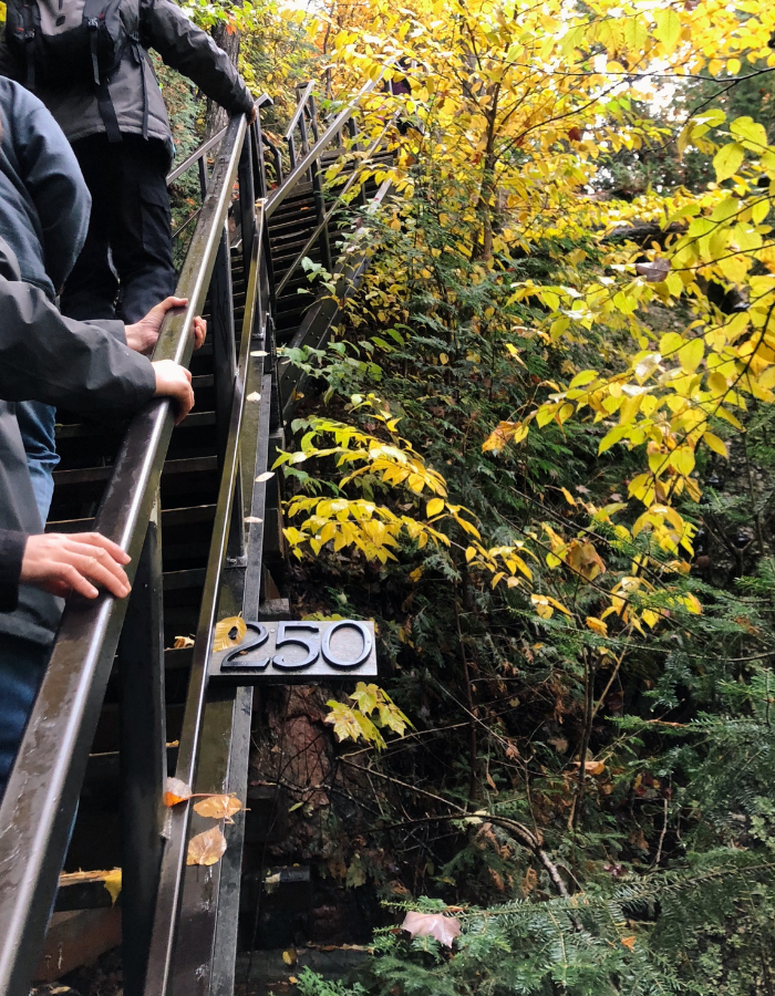 Agawa Canyon Park Lookout Platform