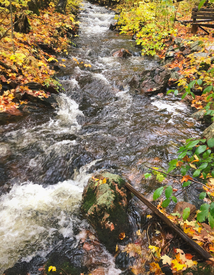 Agawa Canyon River Park Trails