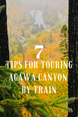 Agawa Canyon Train Tour feature
