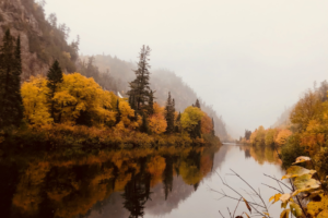 Agawa Canyon Train Tour feature