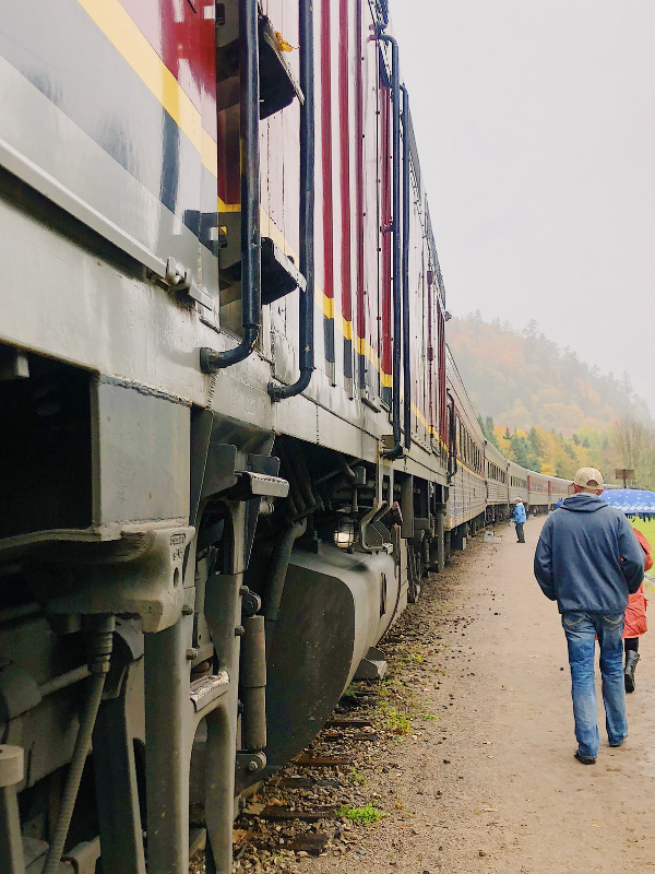 Agawa Canyon Train on the tracks