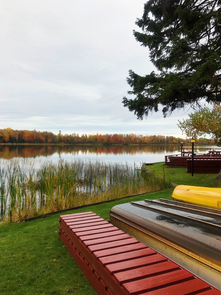 The docks are all lined up and out for the season